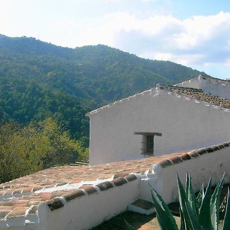 Molino El Pinillo Villa Jubrique Eksteriør bilde