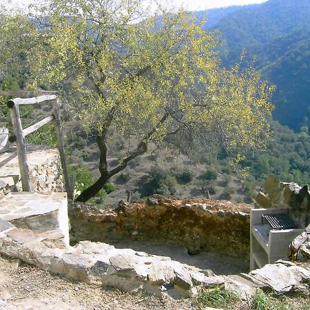 Molino El Pinillo Villa Jubrique Eksteriør bilde