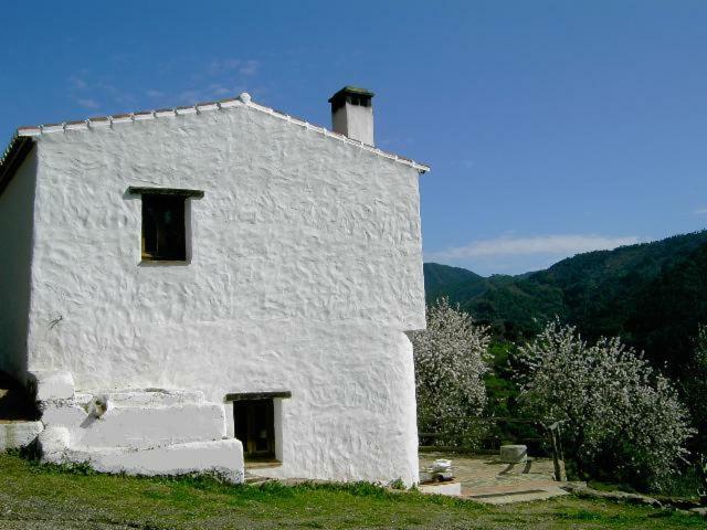 Molino El Pinillo Villa Jubrique Eksteriør bilde