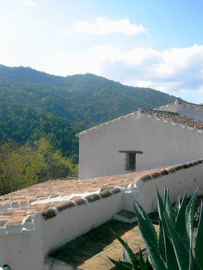 Molino El Pinillo Villa Jubrique Eksteriør bilde